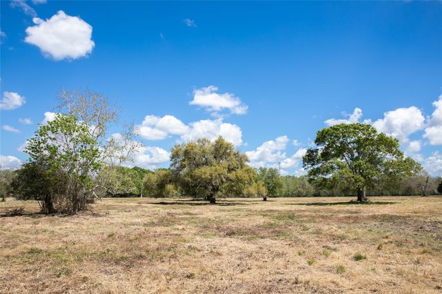 14.5 Acres Cr 320, Brazoria, TX 77422