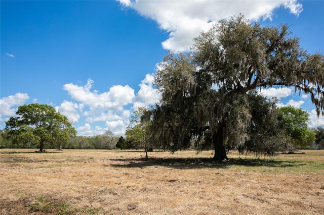 14.5 Acres Cr 320, Brazoria, TX 77422