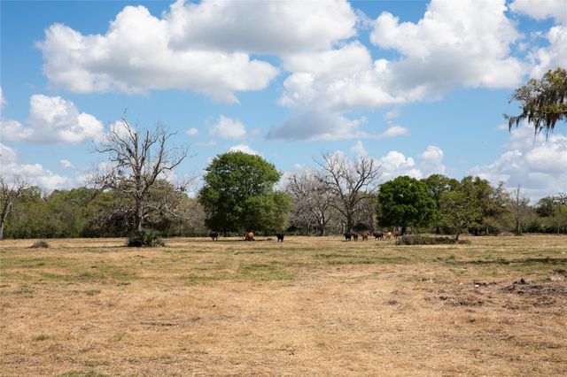 14.5 Acres Cr 320, Brazoria, TX 77422