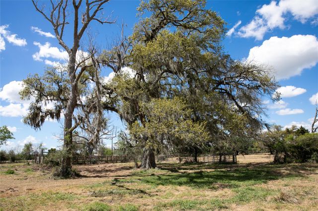 14.5 Acres Cr 320, Brazoria, TX 77422