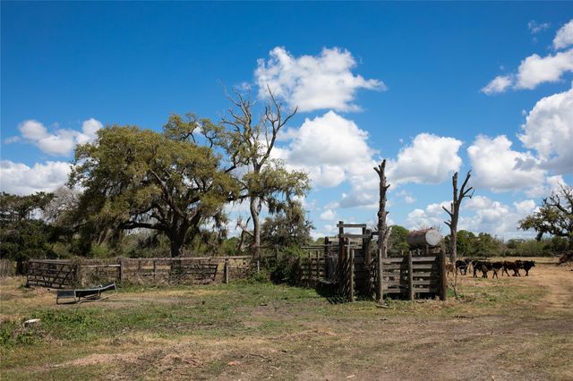 14.5 Acres Cr 320, Brazoria, TX 77422