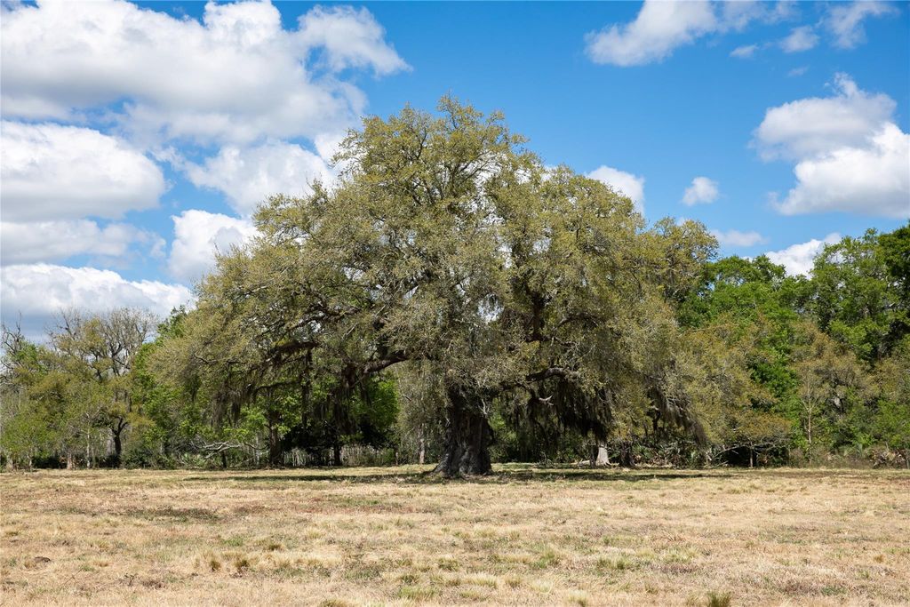 14.5 Acres Cr 320, Brazoria, TX 77422