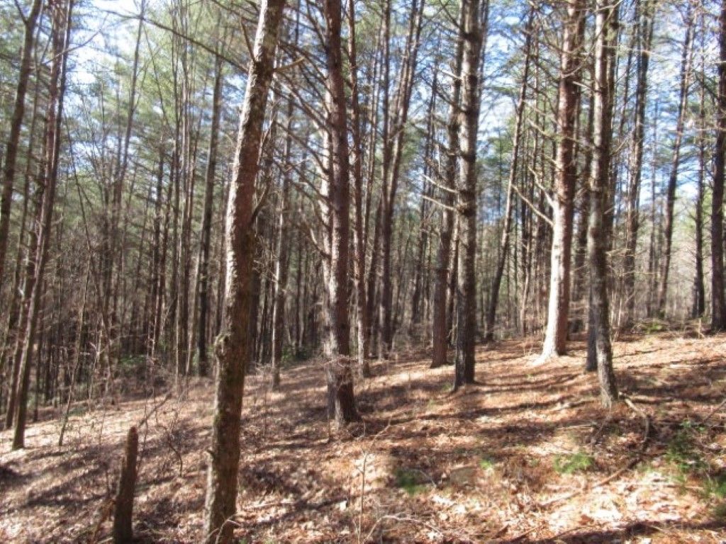 Lot 10 Sweet Shrub Court, Sunset, SC 29685