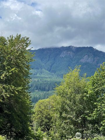 226 Bennett Road, Randle, WA 98377