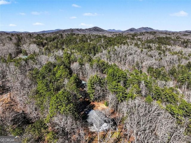 387 Ruby Lane, Mineral Bluff, GA 30559