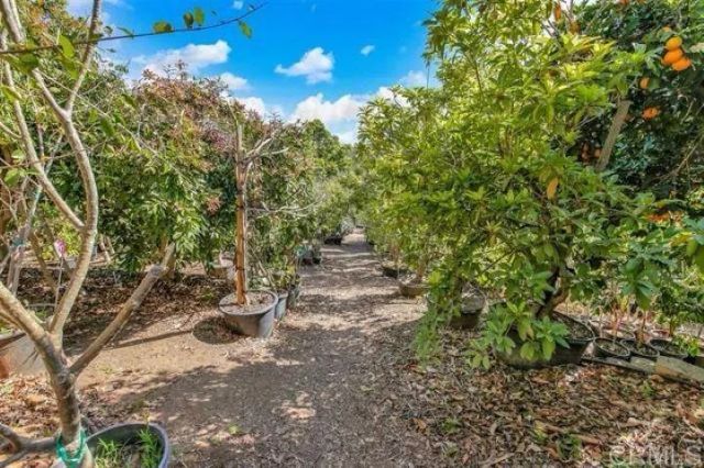 2081 Elevado Road, Vista, CA 92084