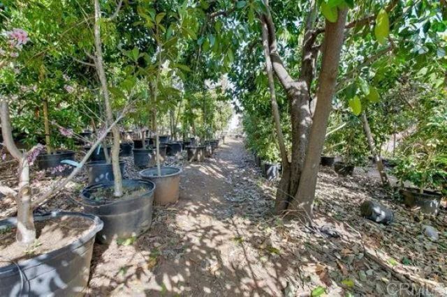 2081 Elevado Road, Vista, CA 92084