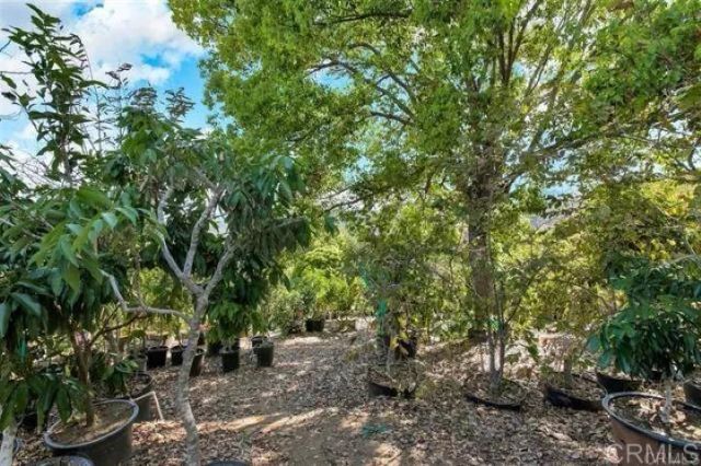 2081 Elevado Road, Vista, CA 92084