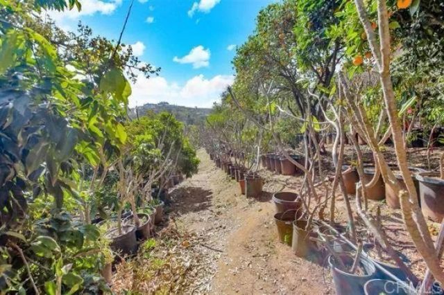 2081 Elevado Road, Vista, CA 92084