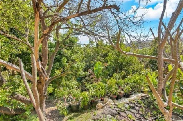 2081 Elevado Road, Vista, CA 92084