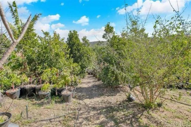2081 Elevado Road, Vista, CA 92084