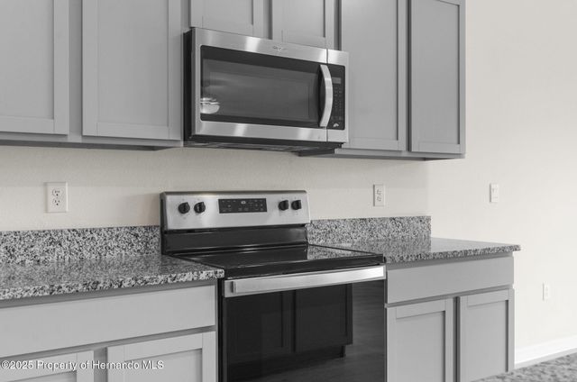 34314 Jasper Stone Drive, Wesley Chapel, FL 33543