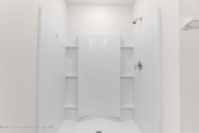 34314 Jasper Stone Drive, Wesley Chapel, FL 33543