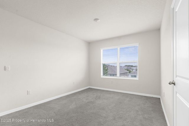 34314 Jasper Stone Drive, Wesley Chapel, FL 33543