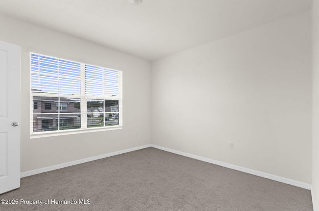 34314 Jasper Stone Drive, Wesley Chapel, FL 33543