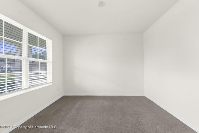 34314 Jasper Stone Drive, Wesley Chapel, FL 33543