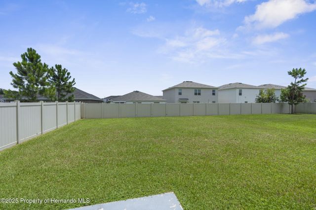 34314 Jasper Stone Drive, Wesley Chapel, FL 33543