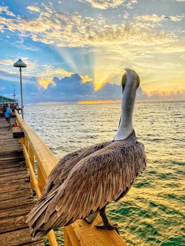 328 N Ocean Boulevard 1008, Pompano Beach, FL 33062