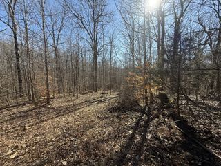 26 Backwoods Estates, Indian Mound, TN 37079
