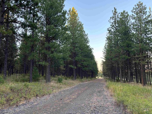 TBD Harlow Ridge Rd - Cloverland Estates 36 & 37, Asotin, WA 99402