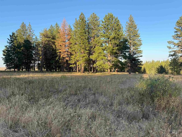 TBD Harlow Ridge Rd - Cloverland Estates 36 & 37, Asotin, WA 99402