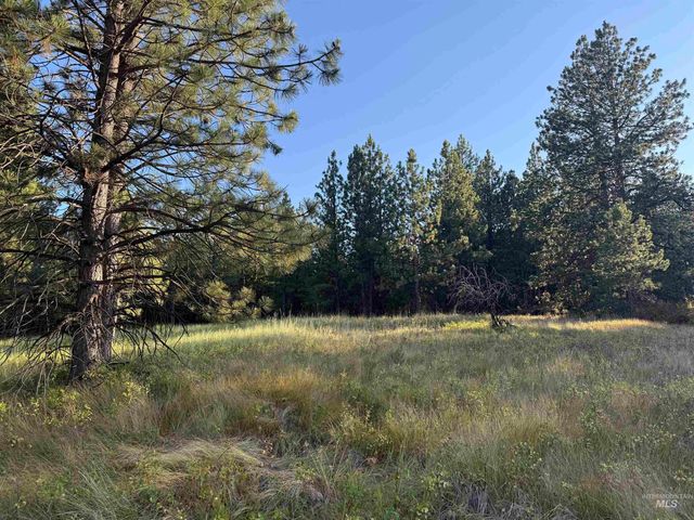 TBD Harlow Ridge Rd - Cloverland Estates 36 & 37, Asotin, WA 99402
