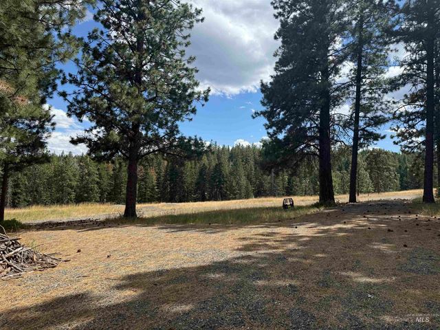 TBD Harlow Ridge Rd - Cloverland Estates 36 & 37, Asotin, WA 99402