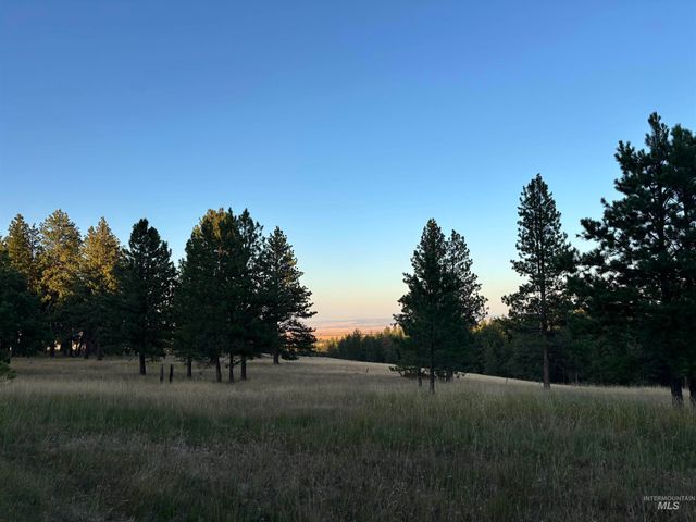 TBD Harlow Ridge Rd - Cloverland Estates 36 & 37, Asotin, WA 99402