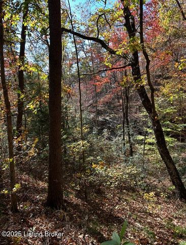 21 Timberline Trails, Mammoth Cave, KY 42259
