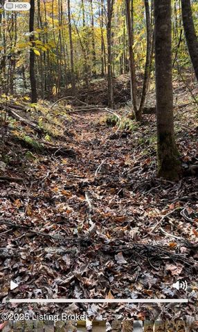 21 Timberline Trails, Mammoth Cave, KY 42259