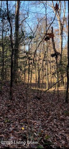 21 Timberline Trails, Mammoth Cave, KY 42259