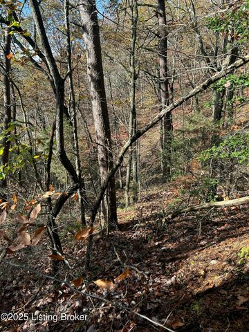 21 Timberline Trails, Mammoth Cave, KY 42259