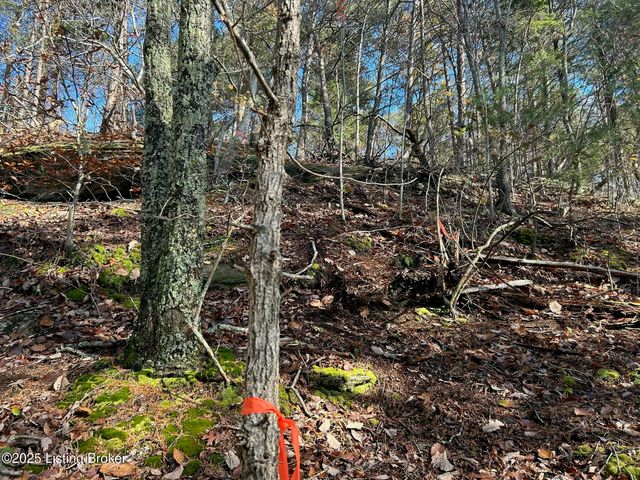 21 Timberline Trails, Mammoth Cave, KY 42259