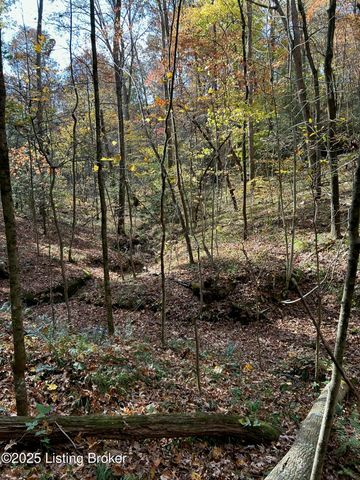 21 Timberline Trails, Mammoth Cave, KY 42259
