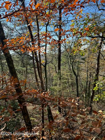 21 Timberline Trails, Mammoth Cave, KY 42259