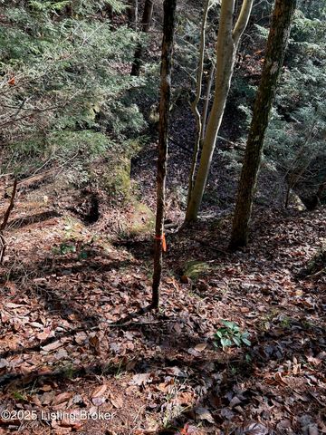 21 Timberline Trails, Mammoth Cave, KY 42259