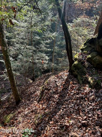 21 Timberline Trails, Mammoth Cave, KY 42259