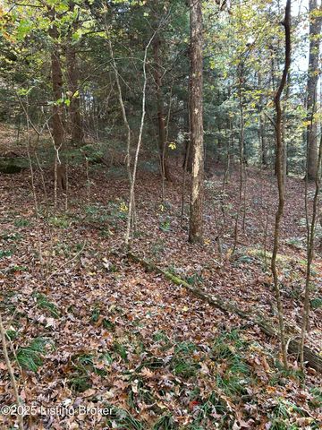 21 Timberline Trails, Mammoth Cave, KY 42259