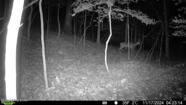 21 Timberline Trails, Mammoth Cave, KY 42259