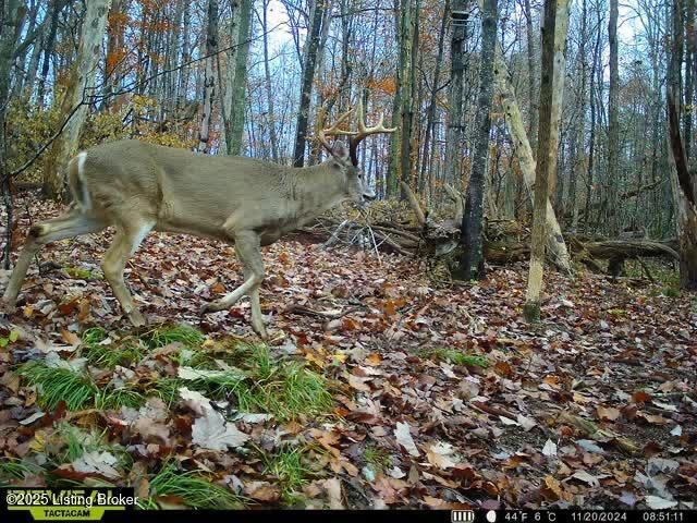 21 Timberline Trails, Mammoth Cave, KY 42259