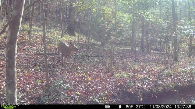 21 Timberline Trails, Mammoth Cave, KY 42259