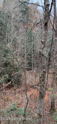 21 Timberline Trails, Mammoth Cave, KY 42259