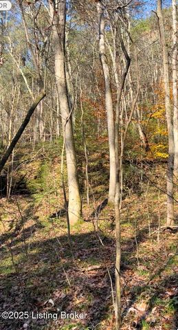 21 Timberline Trails, Mammoth Cave, KY 42259