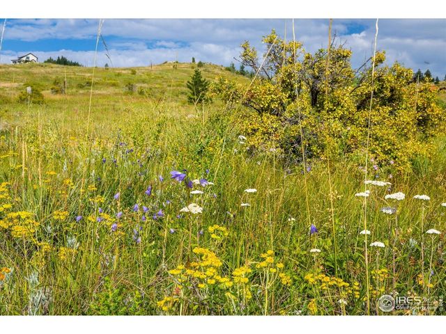 730 Lost Angel Rd, Boulder, CO 80302