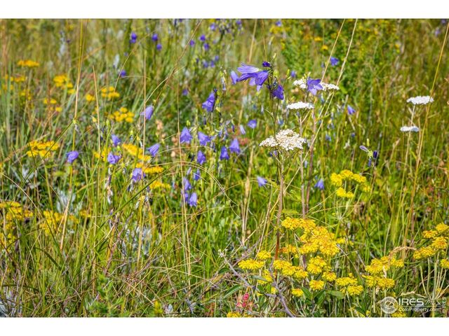 730 Lost Angel Rd, Boulder, CO 80302