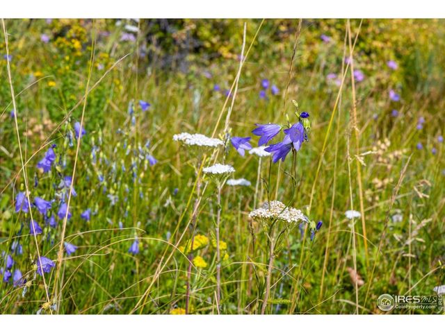 730 Lost Angel Rd, Boulder, CO 80302