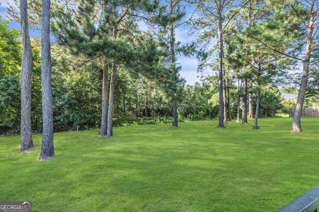 390 Wicklow Drive, Richmond Hill, GA 31324