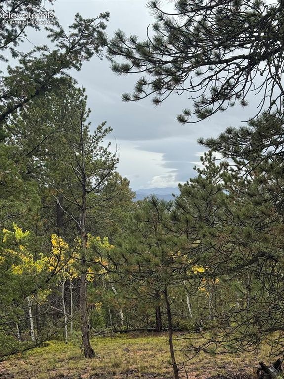 7935 County Road 51, Divide, CO 80814 — exterior