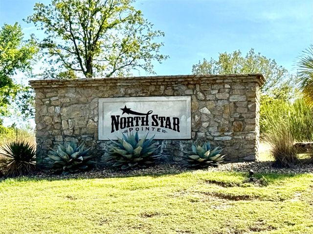 TBD Demonbreun Court, Chico, TX 76431
