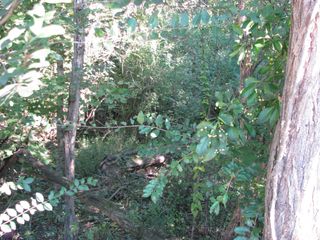 596 High St, E, Mc Ewen, TN 37101